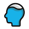 Pool Brain logo