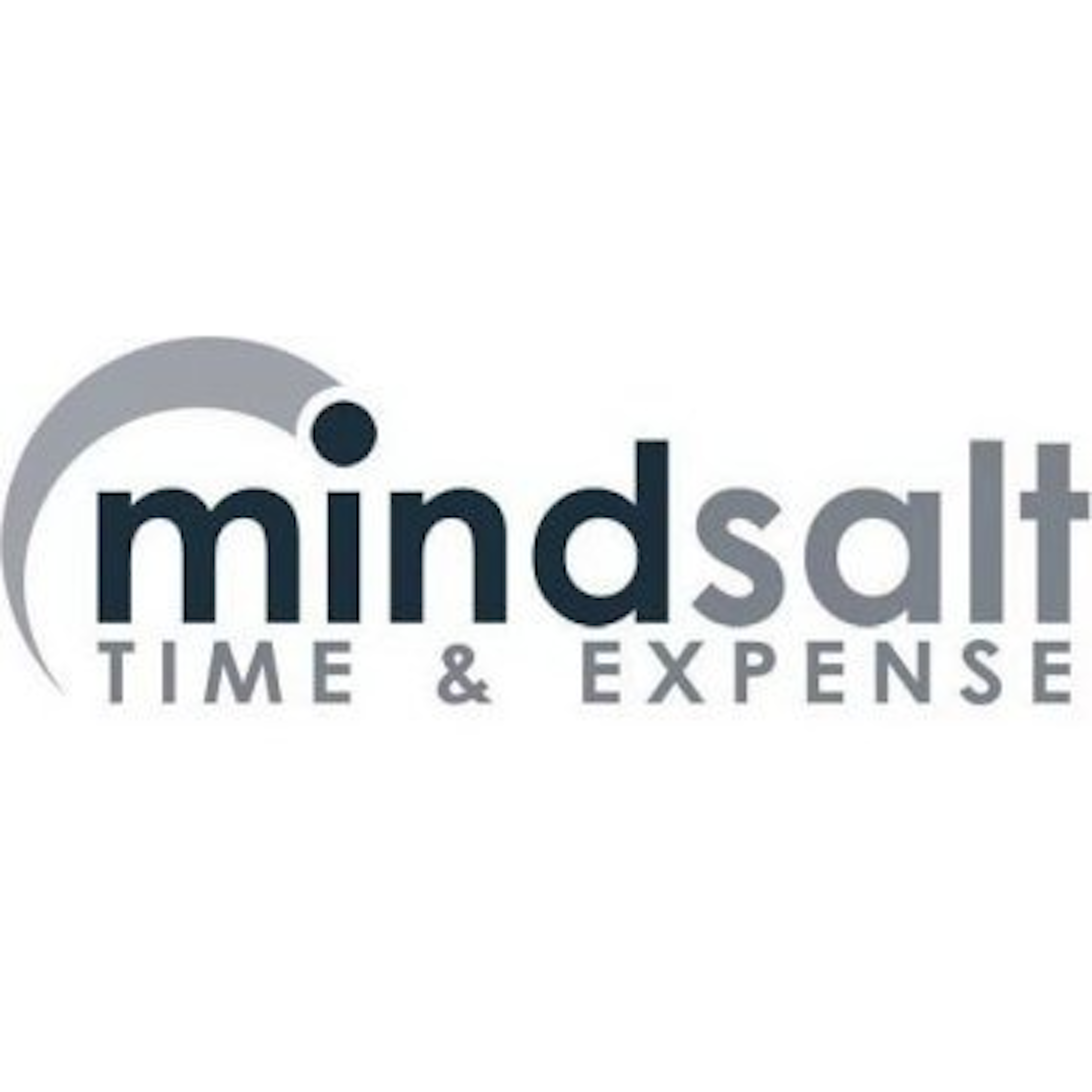 MindSalt Time & Expense Logo