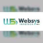 Websys Retail Management System