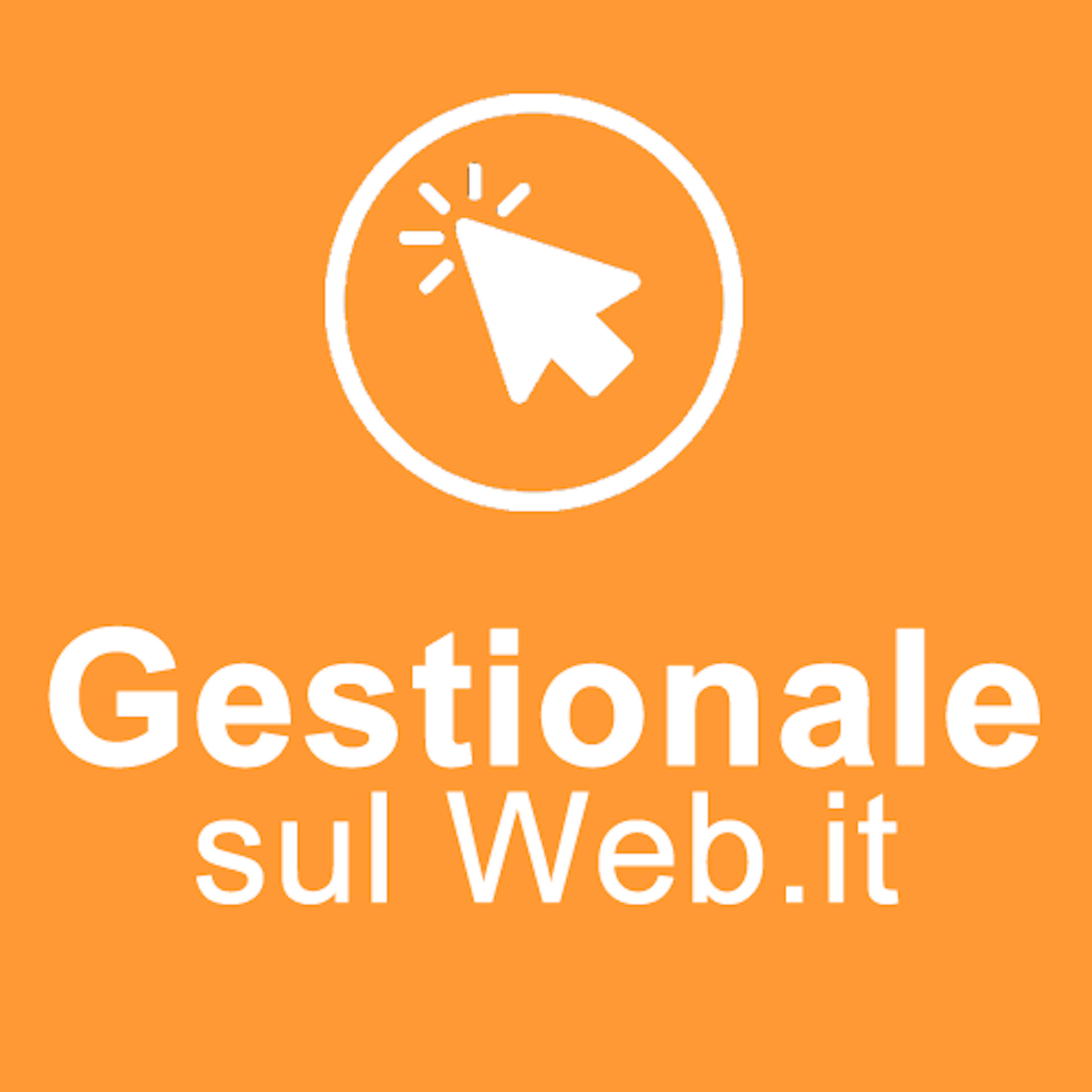 Gestionale sul Web Logo