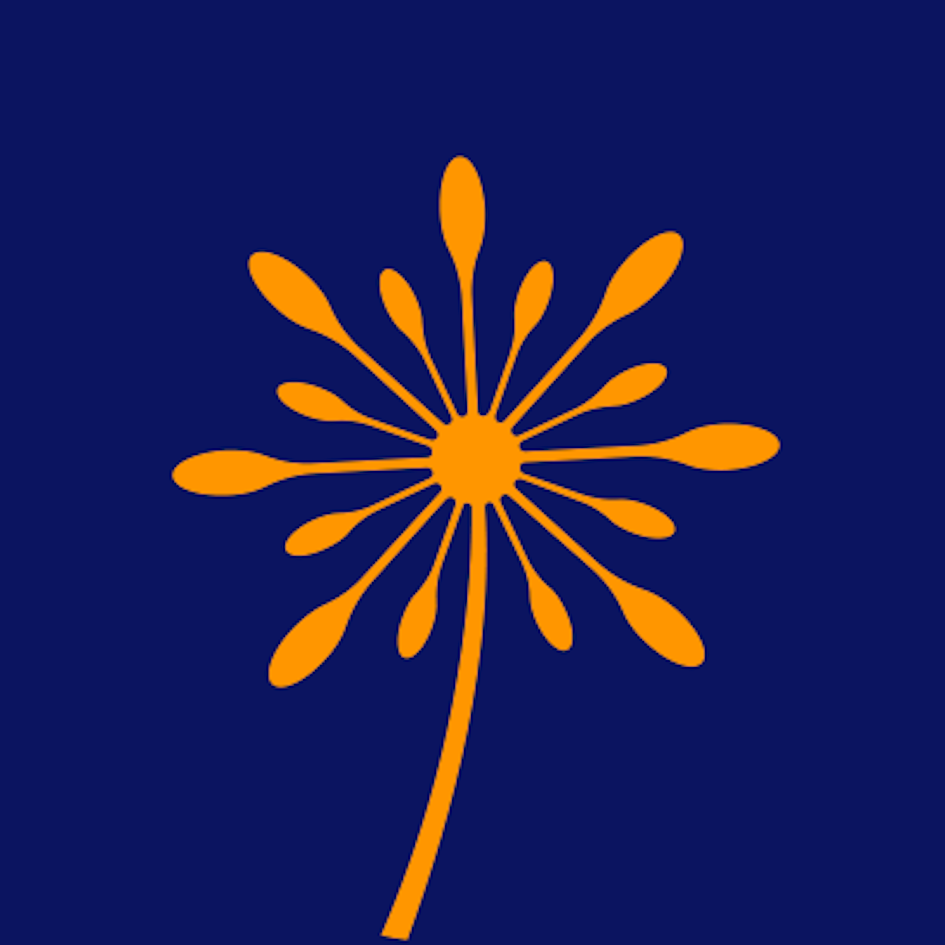 CUFinder Logo