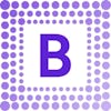 BergFlow logo
