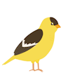 Goldfinch AI Agent logo