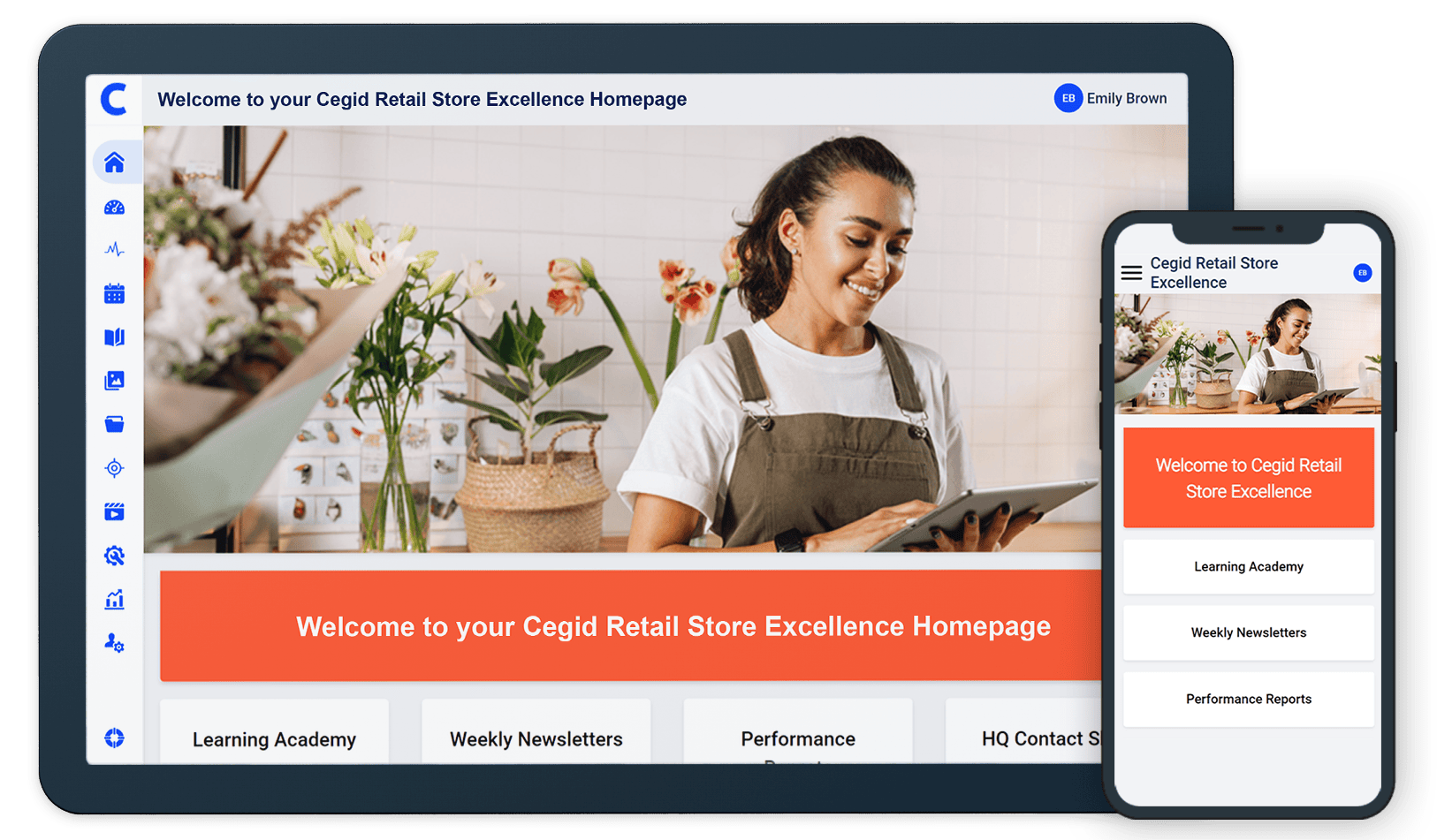 Cegid Retail Store Excellence screenshot: Cegid Retail Store Excellence Dashboard