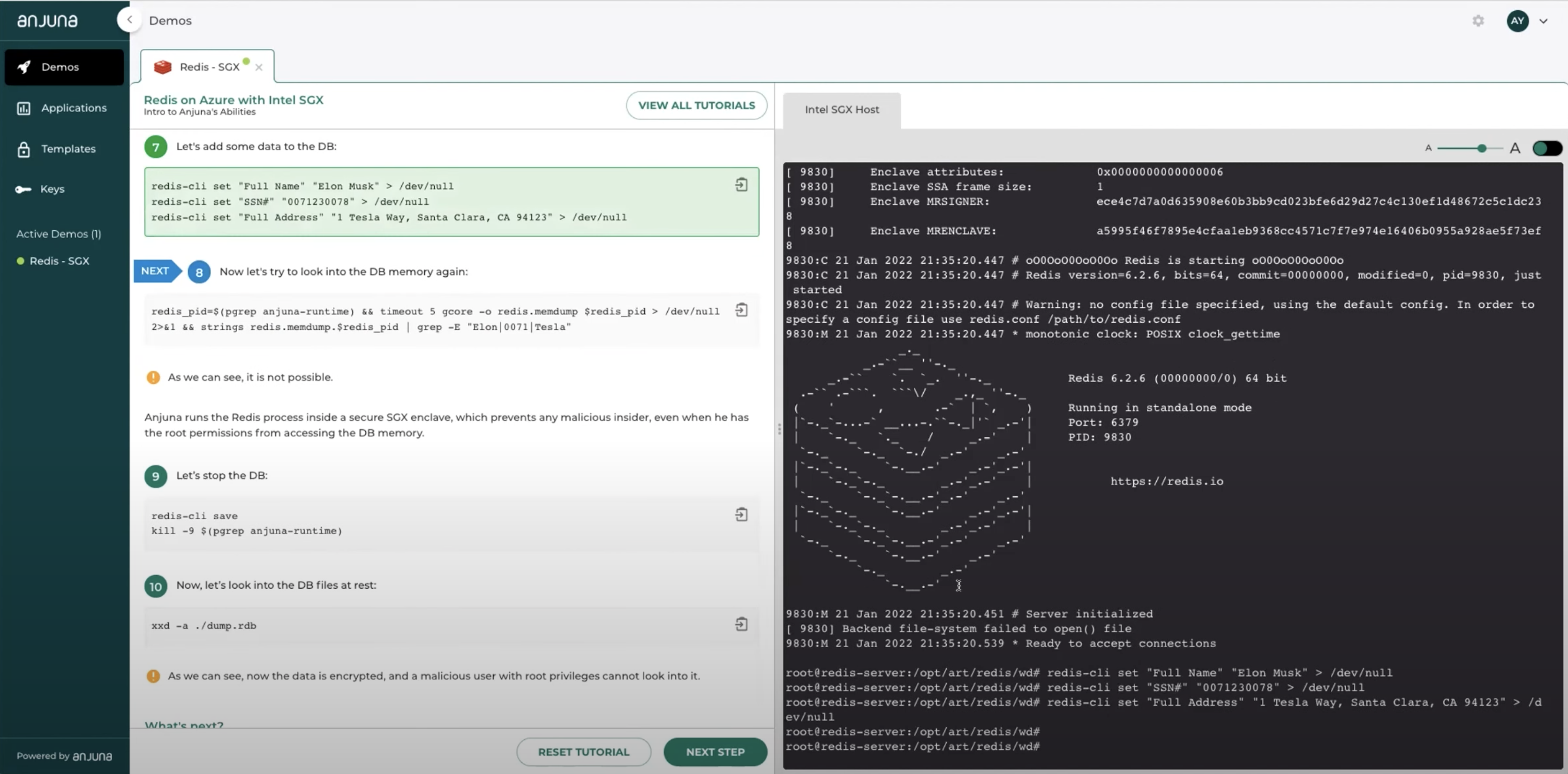 Anjuna Seaglass screenshot: Protecting Redis