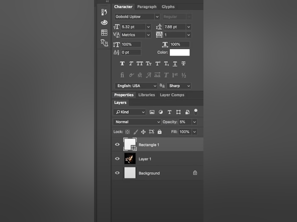 Adobe InDesign Software - 1