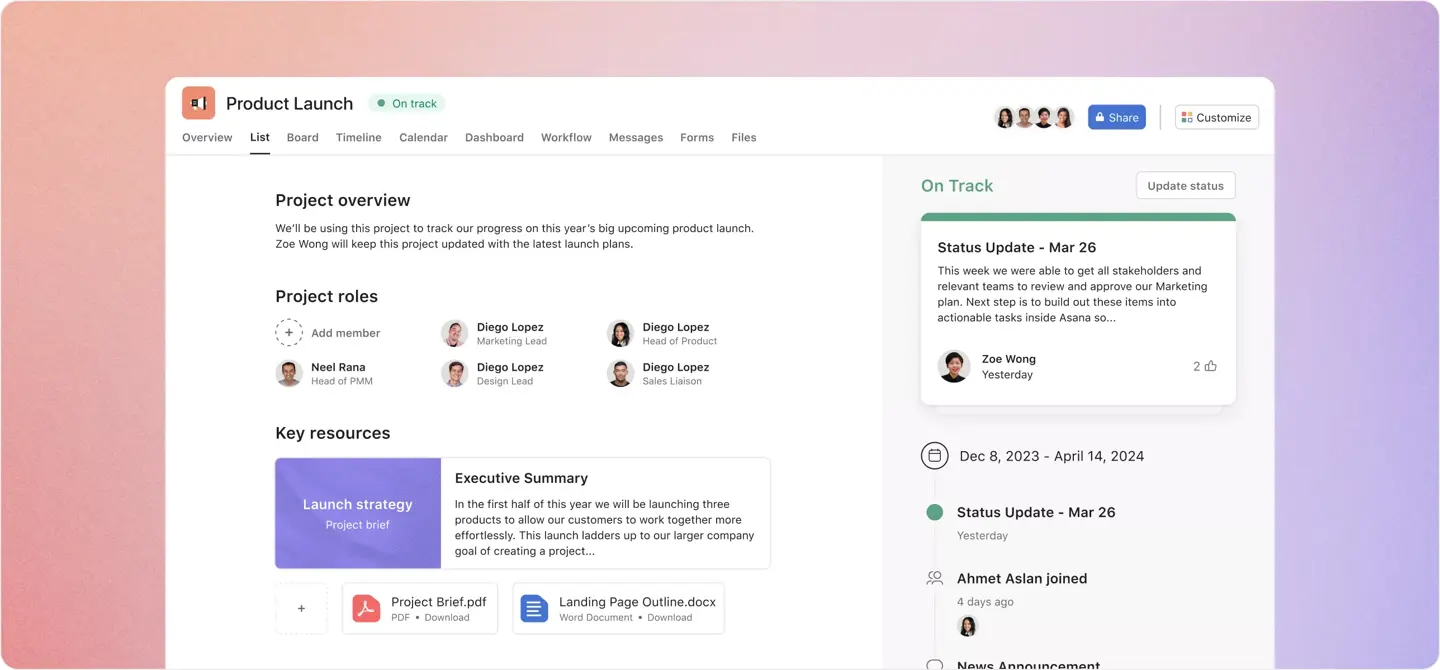 Asana Software - Asana project view