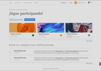 Appsamblea screenshot: Appsamblea voting dashboard