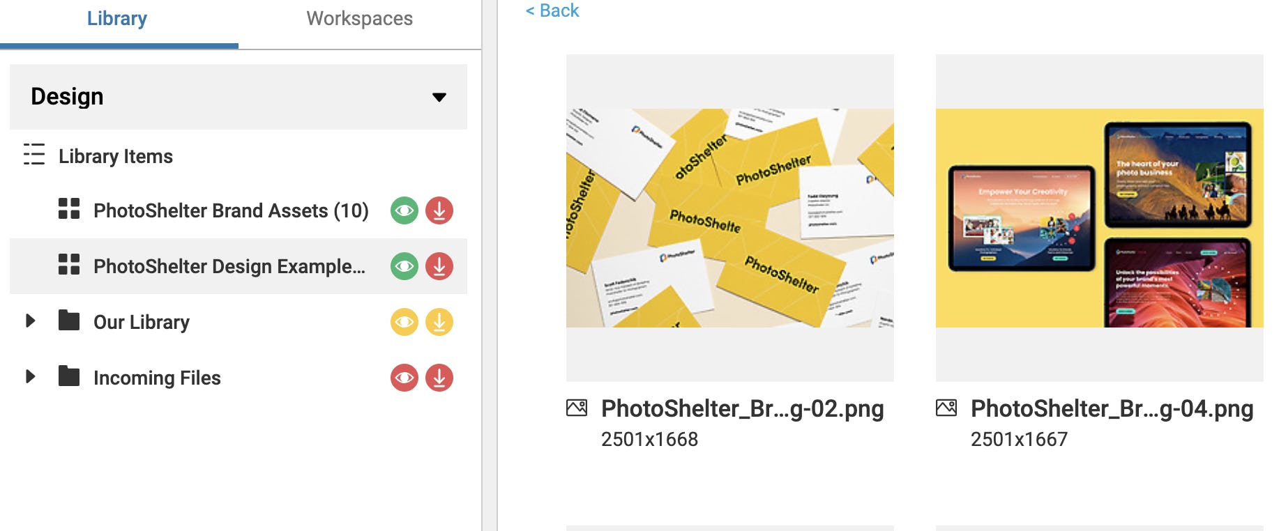 PhotoShelter for Brands Software - Member Library items