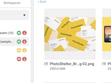 PhotoShelter for Brands Software - 2