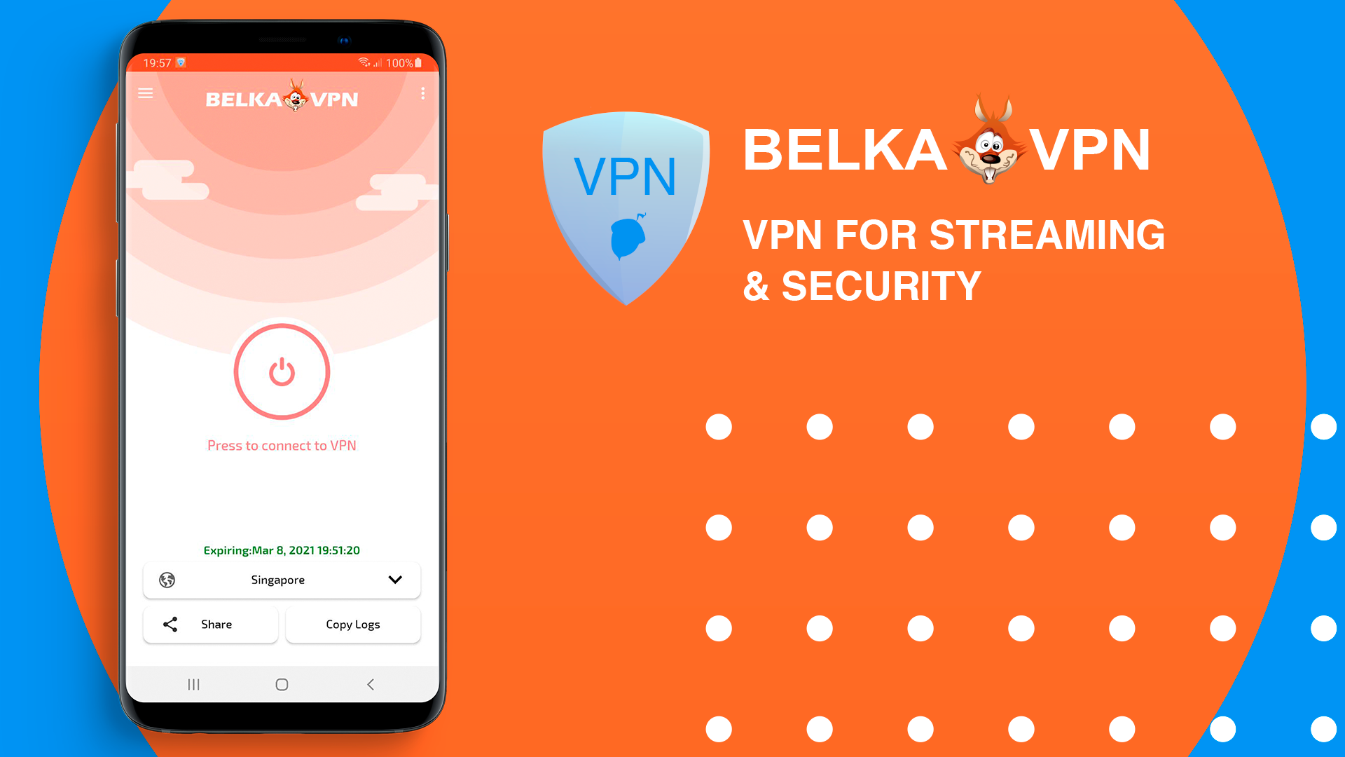 BelkaVPN Software - 2