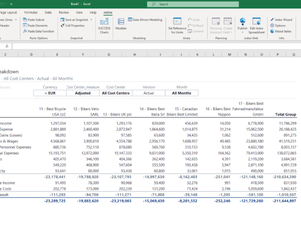 Jedox Software - Native Excel Interface