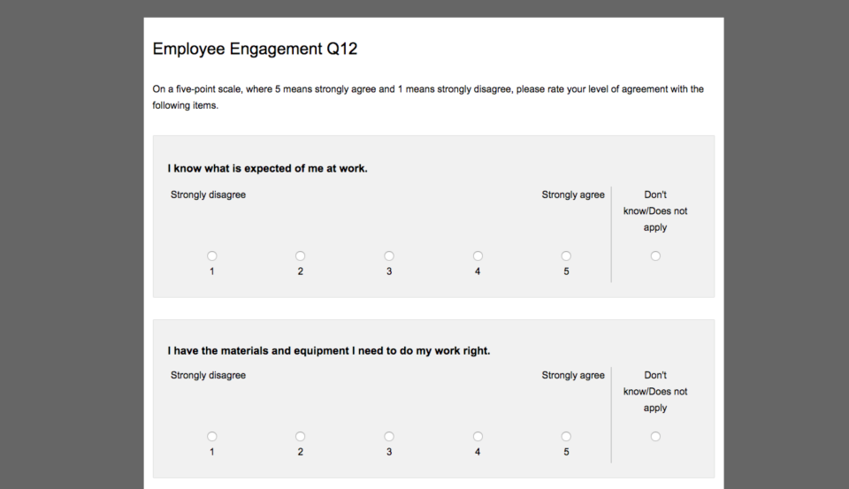 Gallup Access screenshot: Gallup Access employee engagement survey