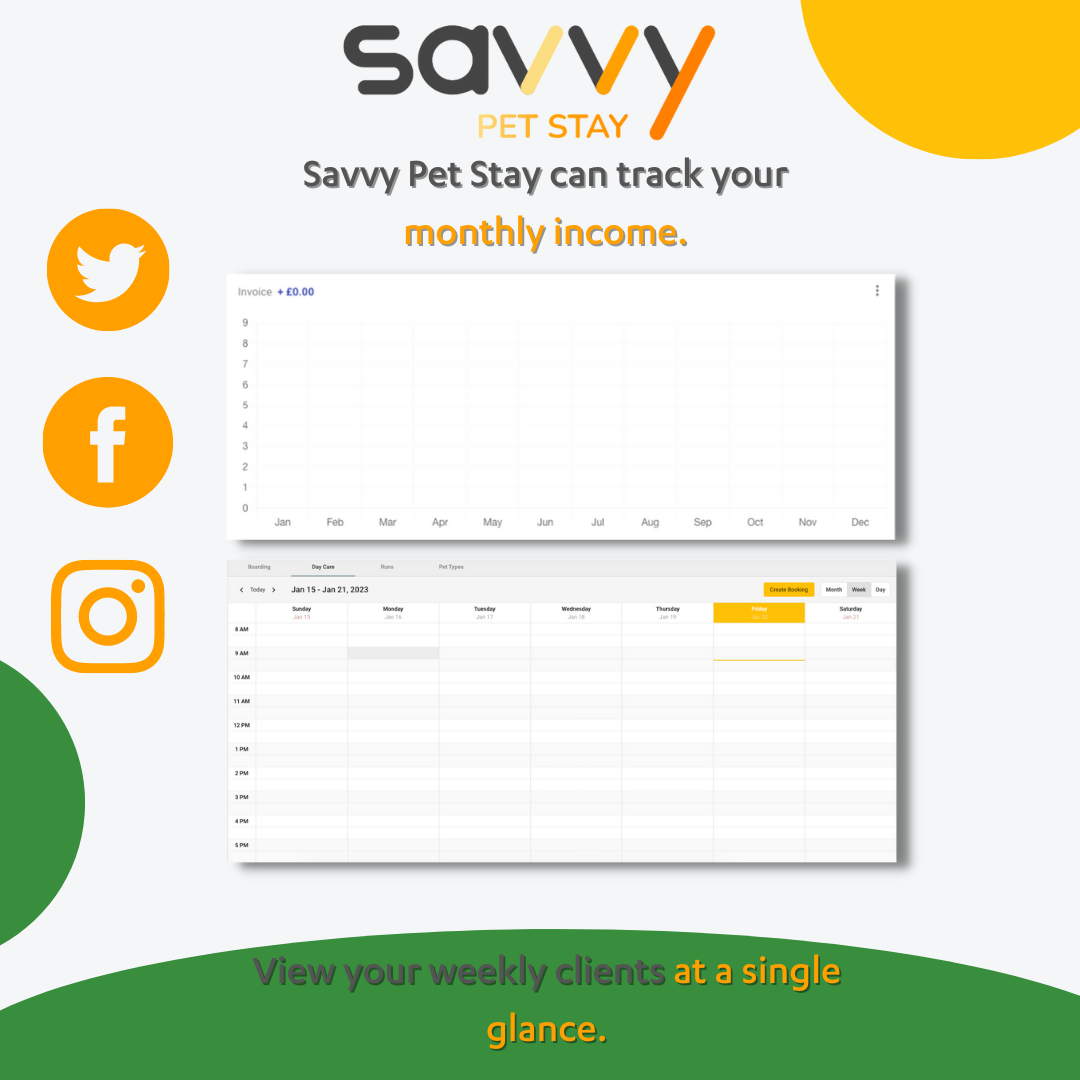 Savvy Pet Stay tracking monthly income