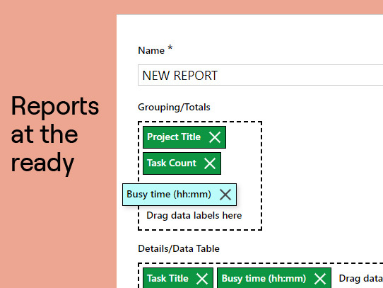 Build report templates to create automatic reports. Reports will be delivered to your inbox at the desired interval. Compare plans to reality.