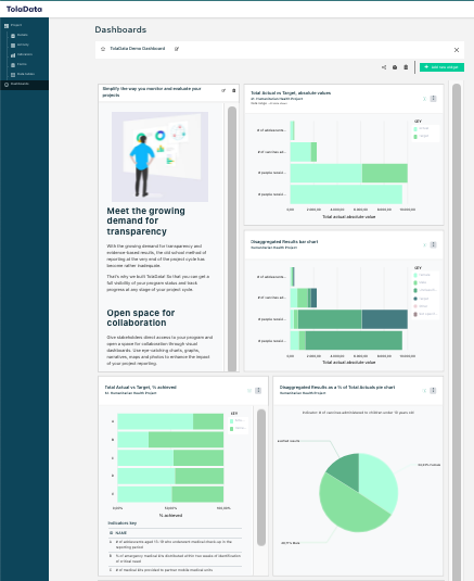 TolaData screenshot: Dashboard