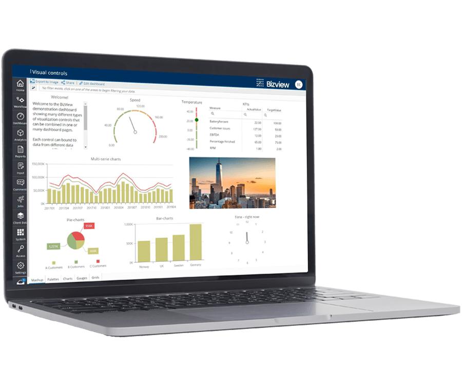 Bizview Software - 4