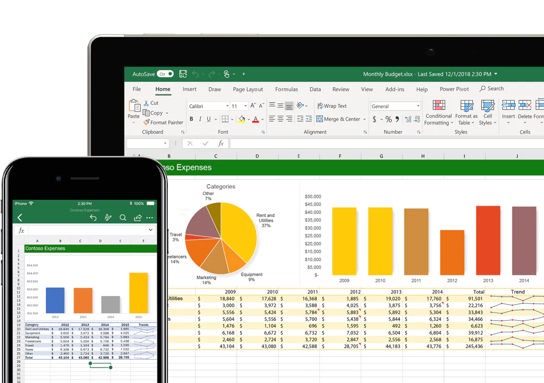 Microsoft Excel data visualization and charting