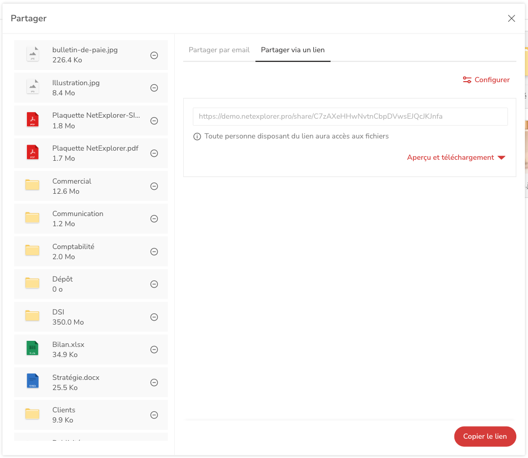 NetExplorer Share screenshot