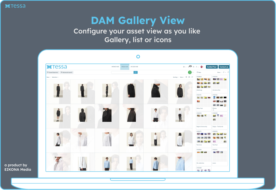 Tessa DAM screenshot: DAM Gallery View