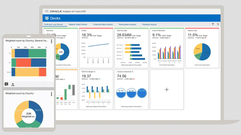 software oracle erp