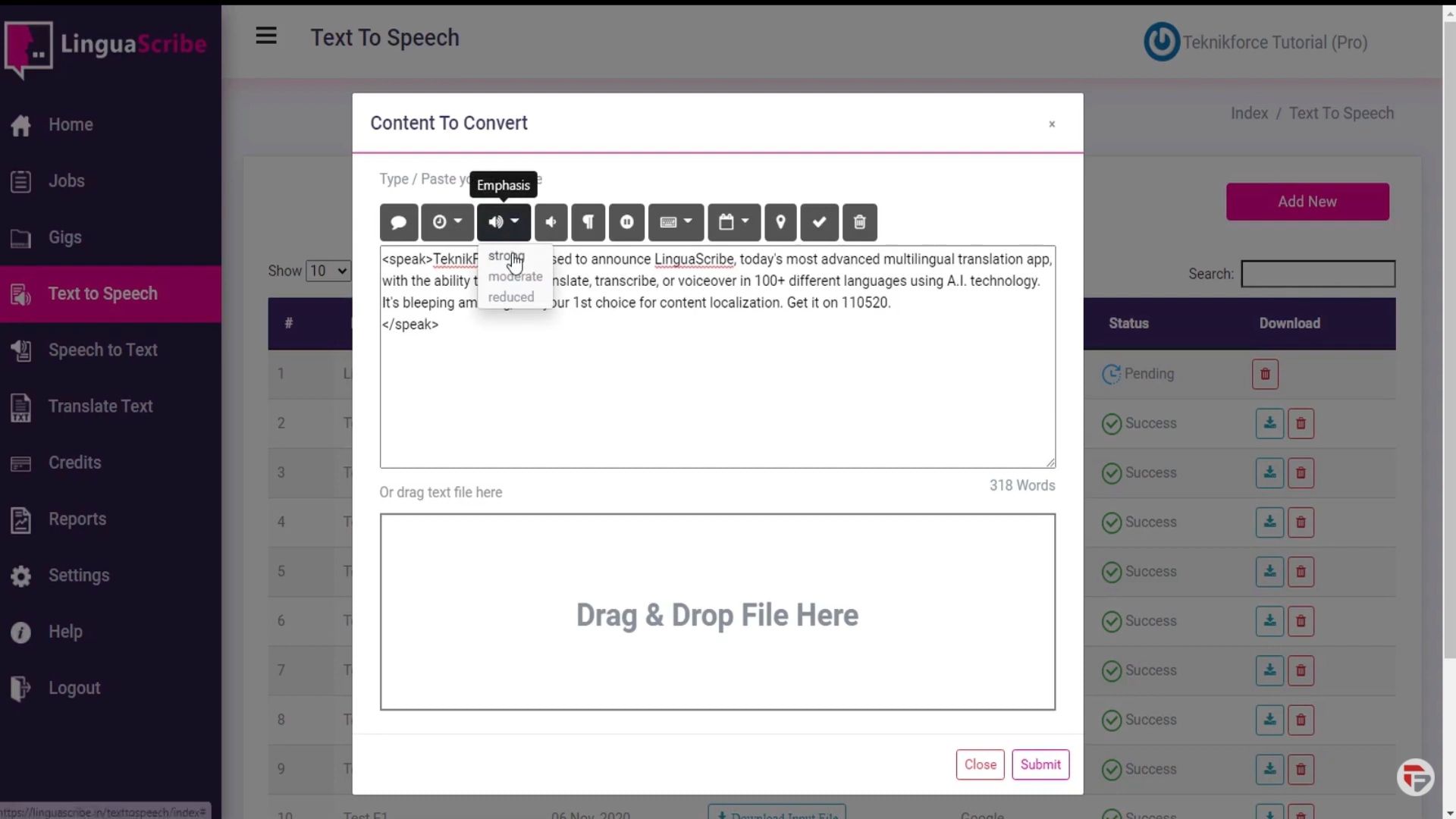 LinguaScribe screenshot: Text to speech translation in LinguaScribe