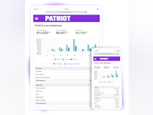 Patriot Accounting Software - 2