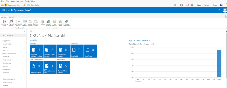 Tangicloud screenshot: Tangicloud NS Dynamics NAV