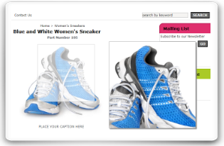 goEmerchant Shopping Cart Software screenshot