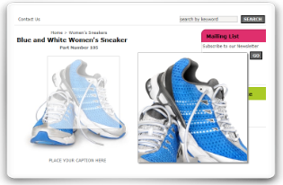 goEmerchant Shopping Cart Software