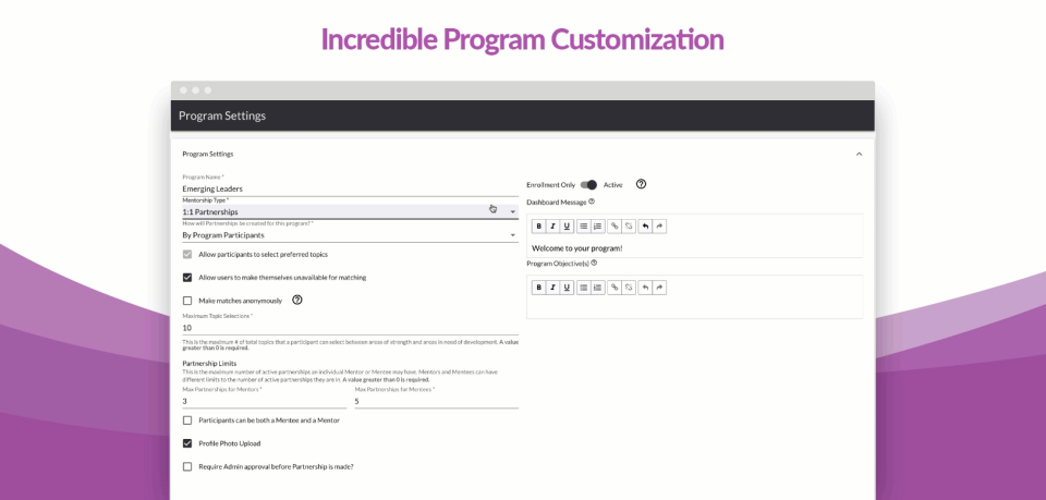 eMentorConnect Software - Program customization
