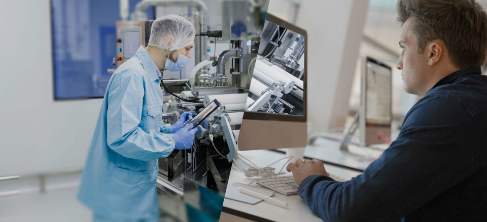 Apizee screenshot: Visual assistance