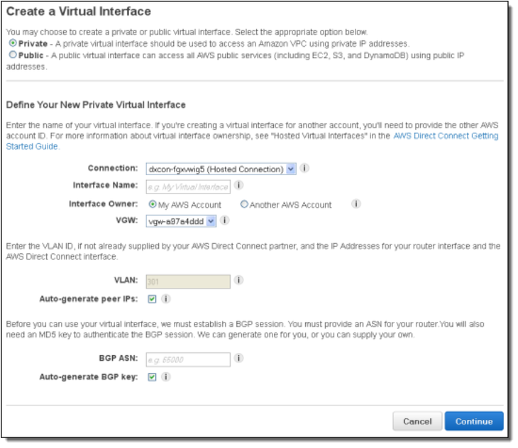 AWS Direct Connect define private virtual interface
