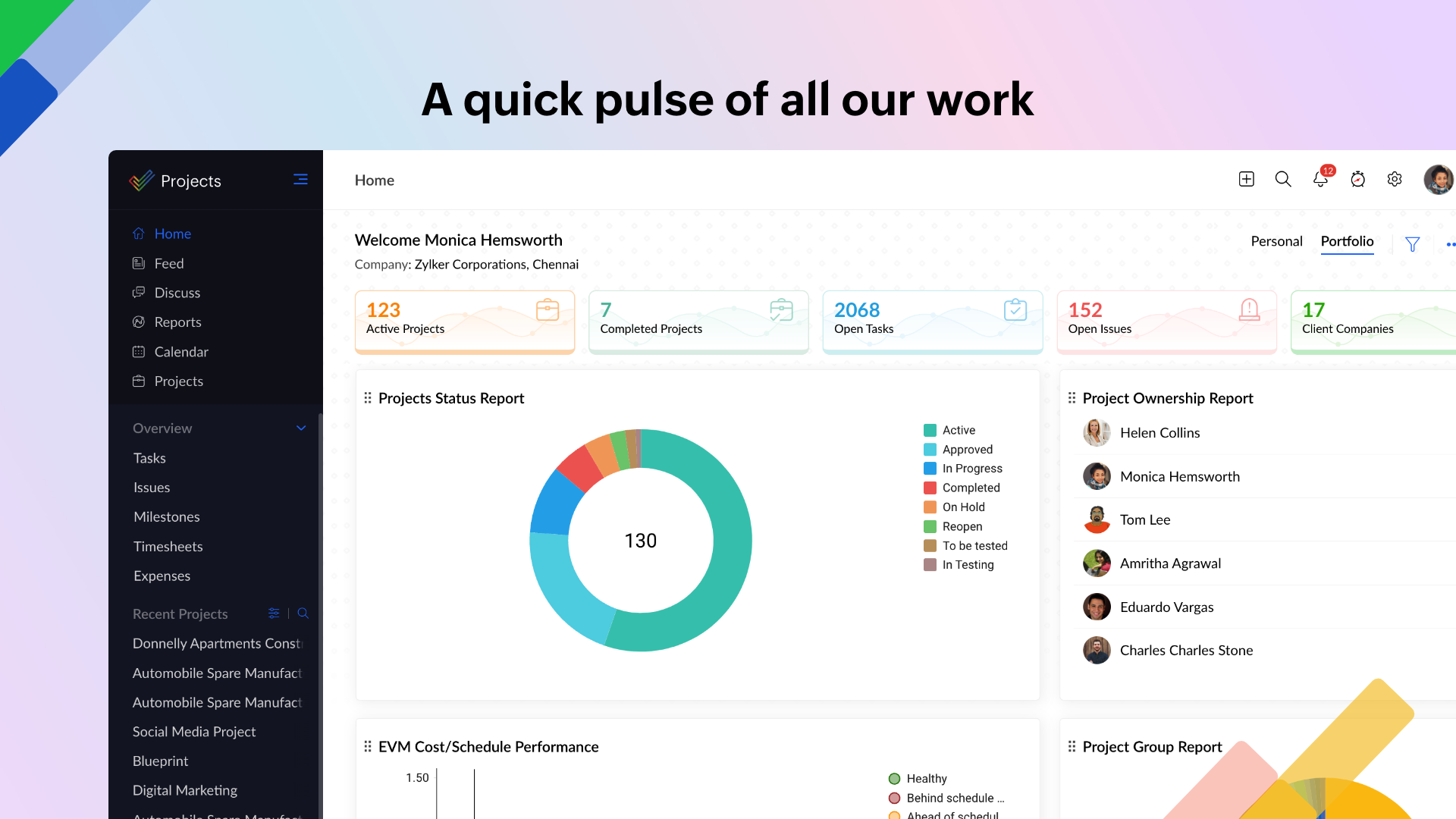Zoho Projects Software - Portfolio Dashboard