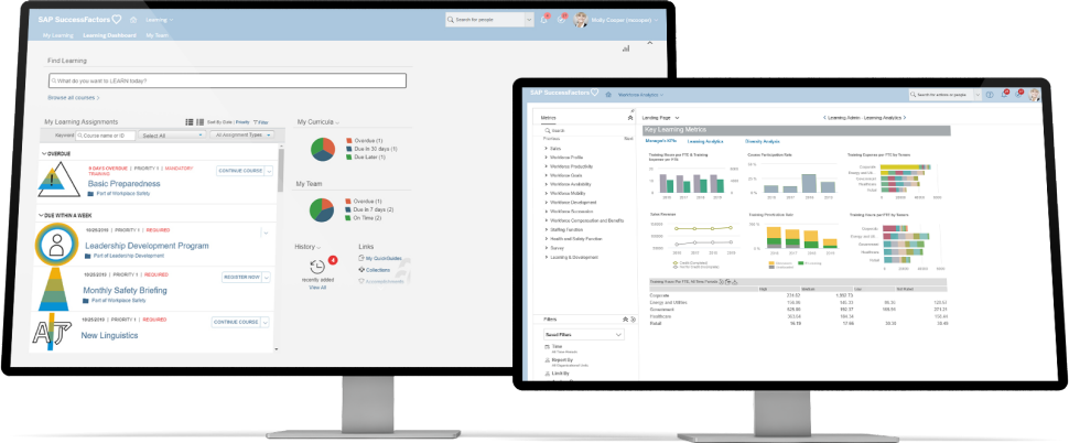 SAP SuccessFactors HXM Suite Software - 3