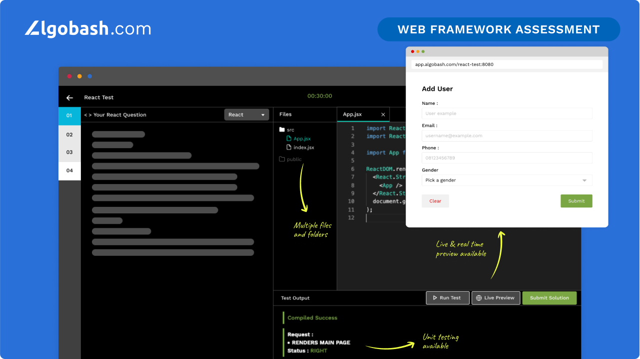 Web framework assessment using unit testing and live preview