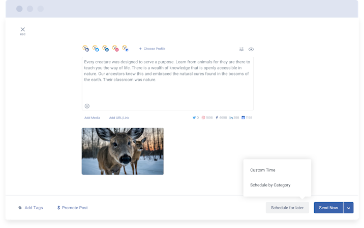 Statusbrew screenshot: Compose : Schedule and publish your social media campaigns across major social networks. Using CSV upload, schedule hundreds of posts and images in a single click and save hours worth efforts.