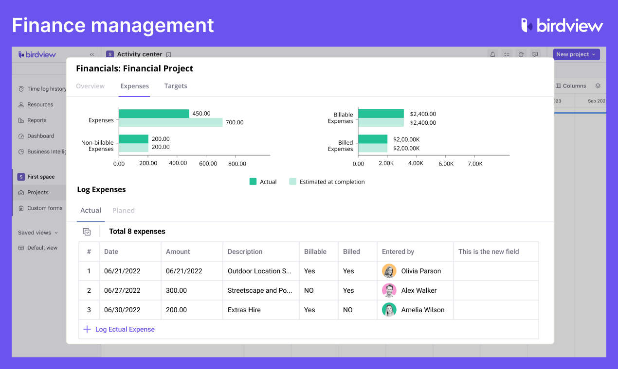 Birdview Software - Finance Management