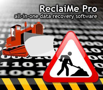 reclaime file recovery standard