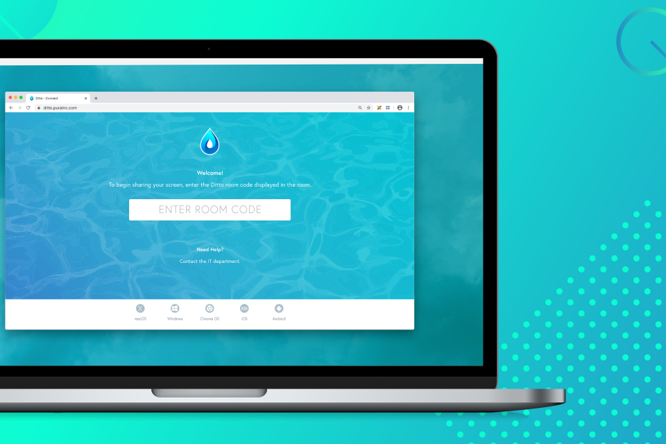 Ditto Pricing, Reviews & Features Capterra Canada 2024