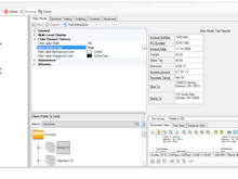 Grooper Software - Grooper data model screenshot