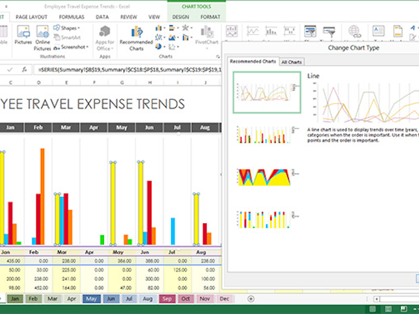 Microsoft Excel Software - Multiple chart formats