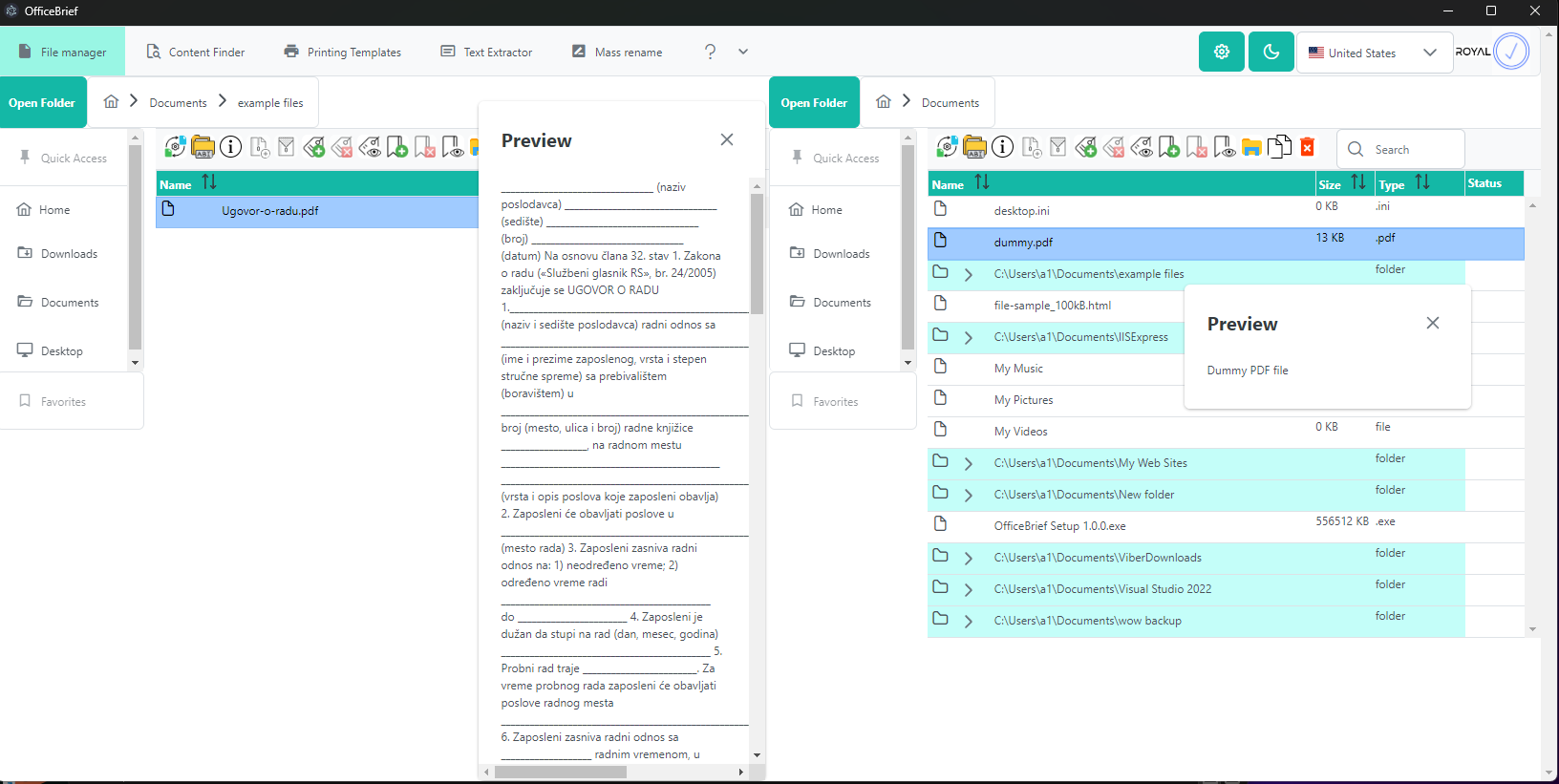 OfficeBrief screenshot: OfficeBrief preview functionality