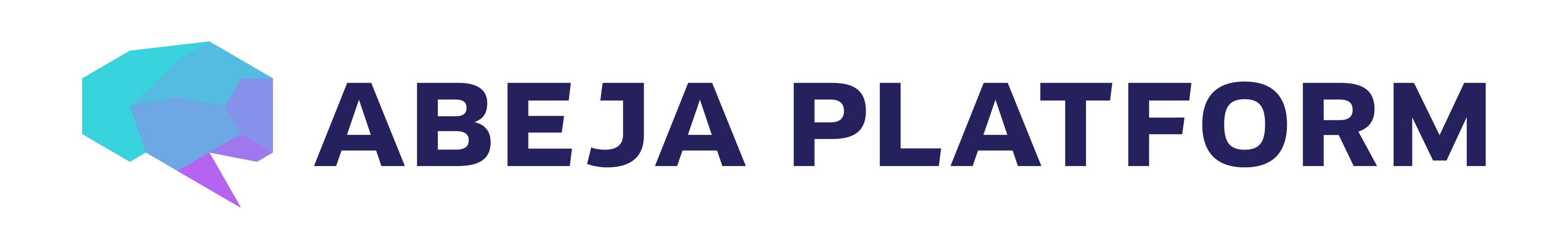 ABEJA Platform Software - 1