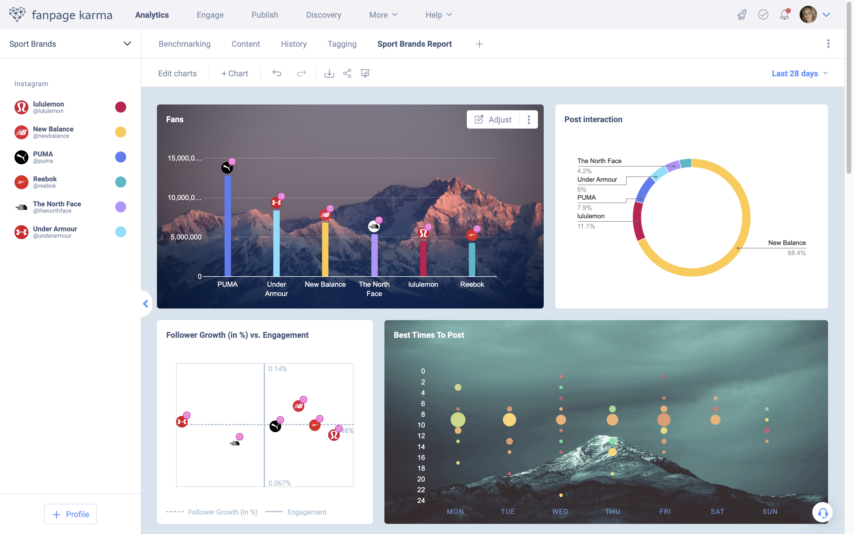 Fanpage Karma Software - Competitor Analysis in Fanpage Karma Analytics