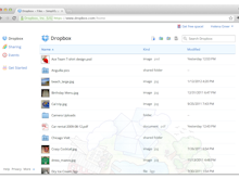 Dropbox Business Software - Store photographs in Dropbox