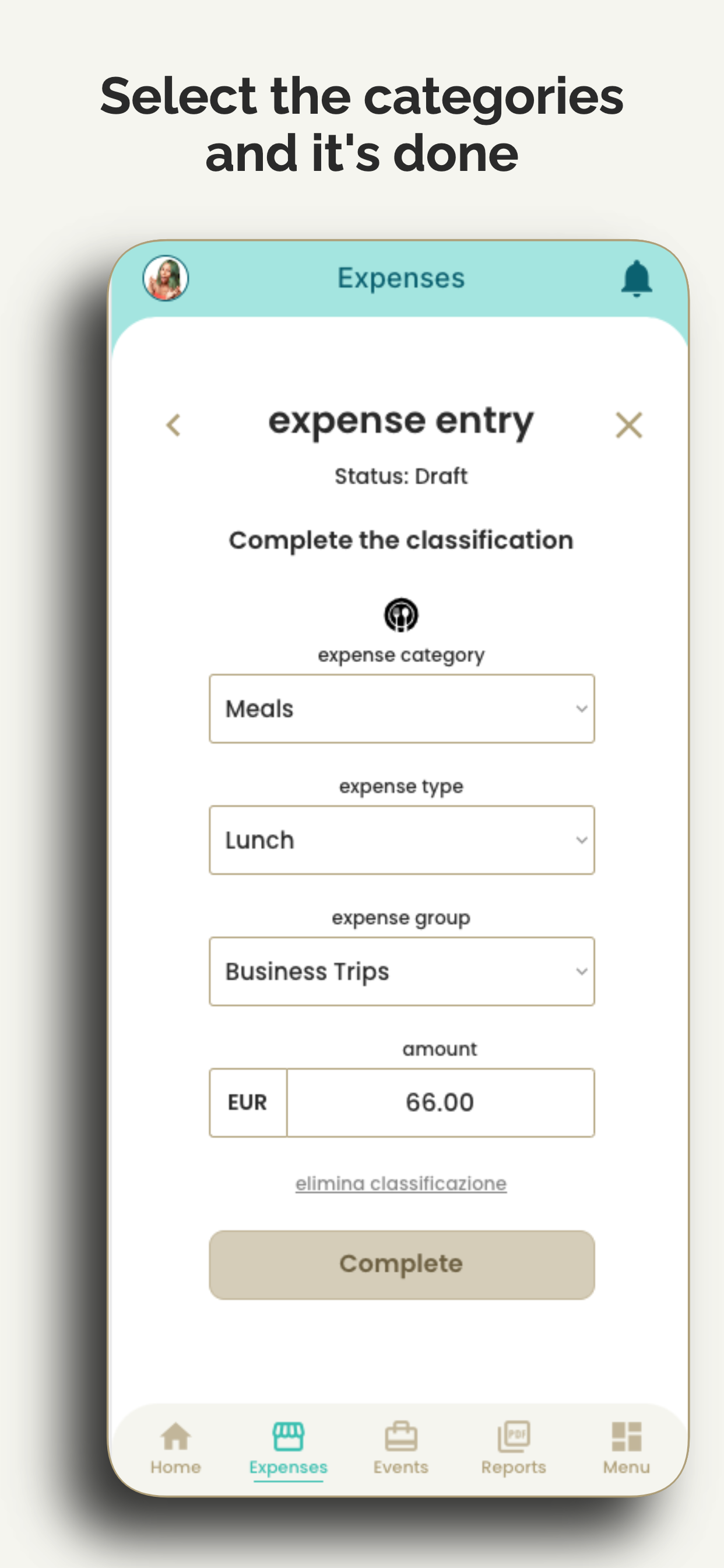 Smart Expense Software - Smart Expense Expense Category and Amount