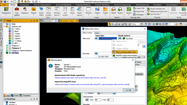 Petrel E&P Software Platform Software - 1