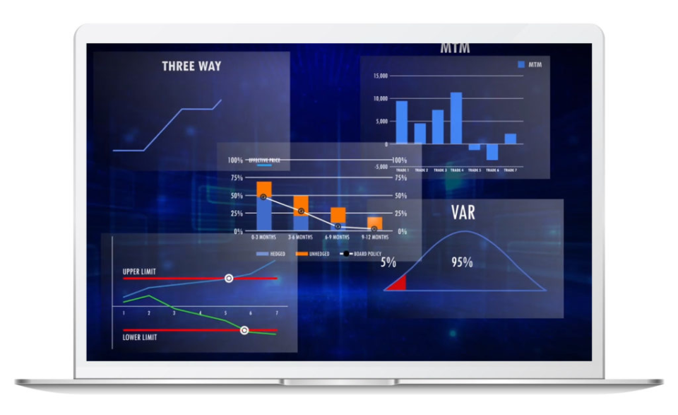 Finvisage Software - 1