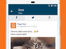 Loomly Software - Mobile app: post previews